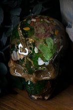 Load image into Gallery viewer, Real Scorpion Moss Skull