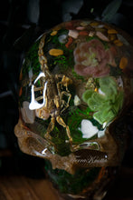 Load image into Gallery viewer, Real Scorpion Moss Skull
