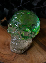 Load image into Gallery viewer, Succulent Shaker Skull