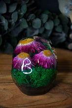 Load image into Gallery viewer, Pink Strawflower Moss Skull