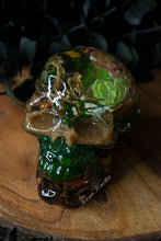 Load image into Gallery viewer, Real Scorpion Moss Skull