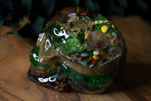 Load image into Gallery viewer, Real Scorpion Moss Skull