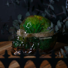 Load image into Gallery viewer, Succulent Terrarium Skull 1