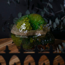 Load image into Gallery viewer, Succulent Terrarium Skull 1