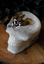 Load image into Gallery viewer, Moth White Skull
