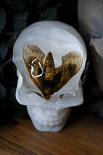 Load image into Gallery viewer, Moth White Skull
