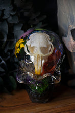 Load image into Gallery viewer, Floral Muskrat Skull
