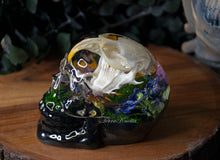 Load image into Gallery viewer, Floral Muskrat Skull
