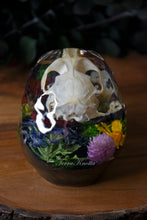 Load image into Gallery viewer, Floral Muskrat Skull
