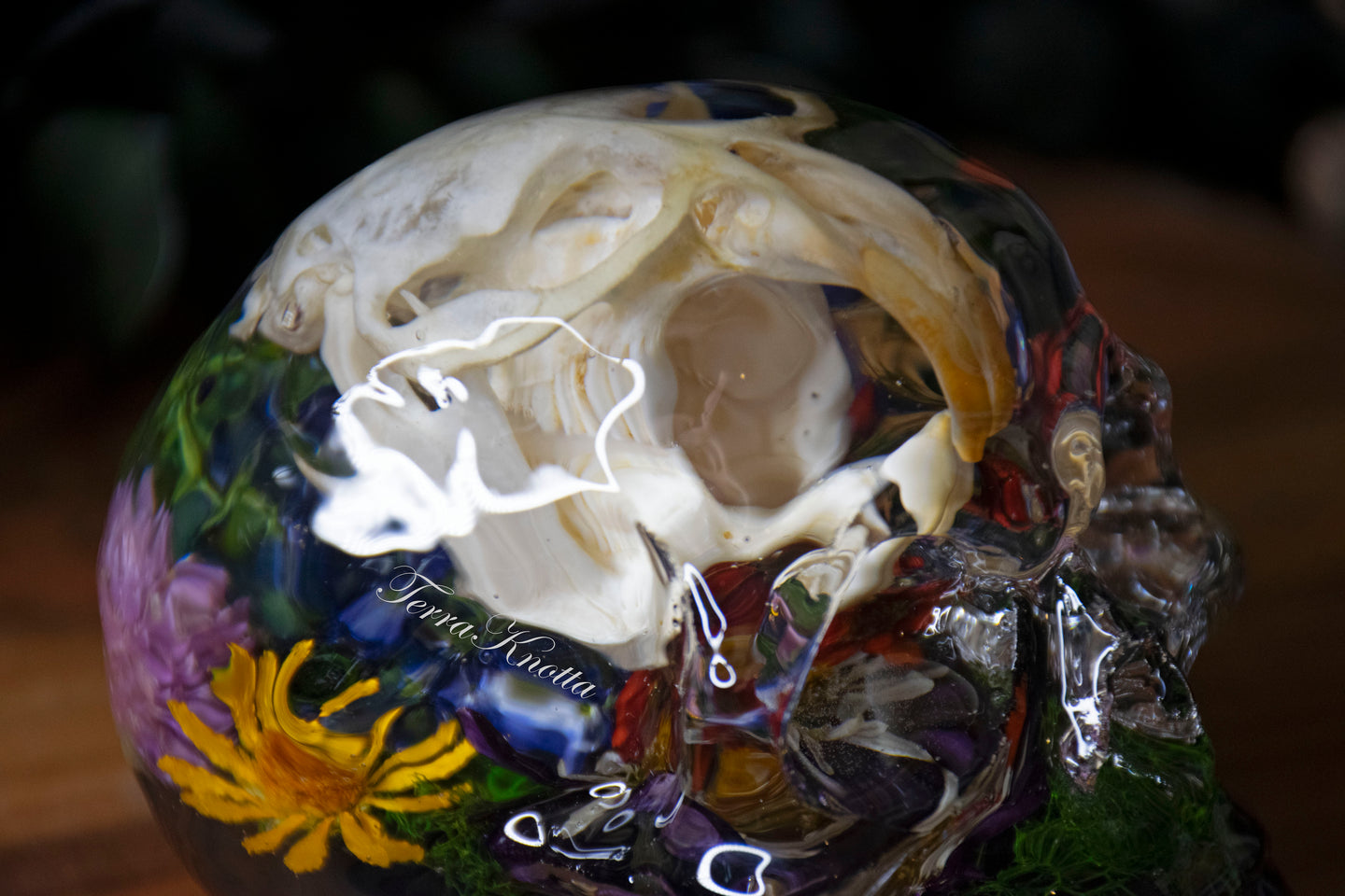 Floral Muskrat Skull