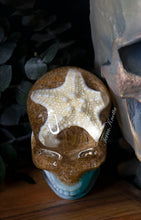 Load image into Gallery viewer, Small Starfish Beach Skull
