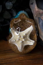 Load image into Gallery viewer, Small Starfish Beach Skull
