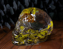 Load image into Gallery viewer, Cicada Bark Moss Skull
