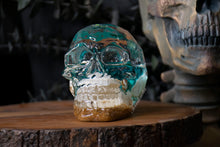 Load image into Gallery viewer, Beach Vibes Skull
