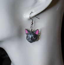 Load image into Gallery viewer, Cat Earrings 4 Colors
