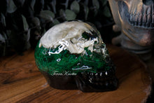 Load image into Gallery viewer, Real Mink Moss Skull
