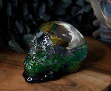 Load image into Gallery viewer, Cicada Vertebrae Moss Skull

