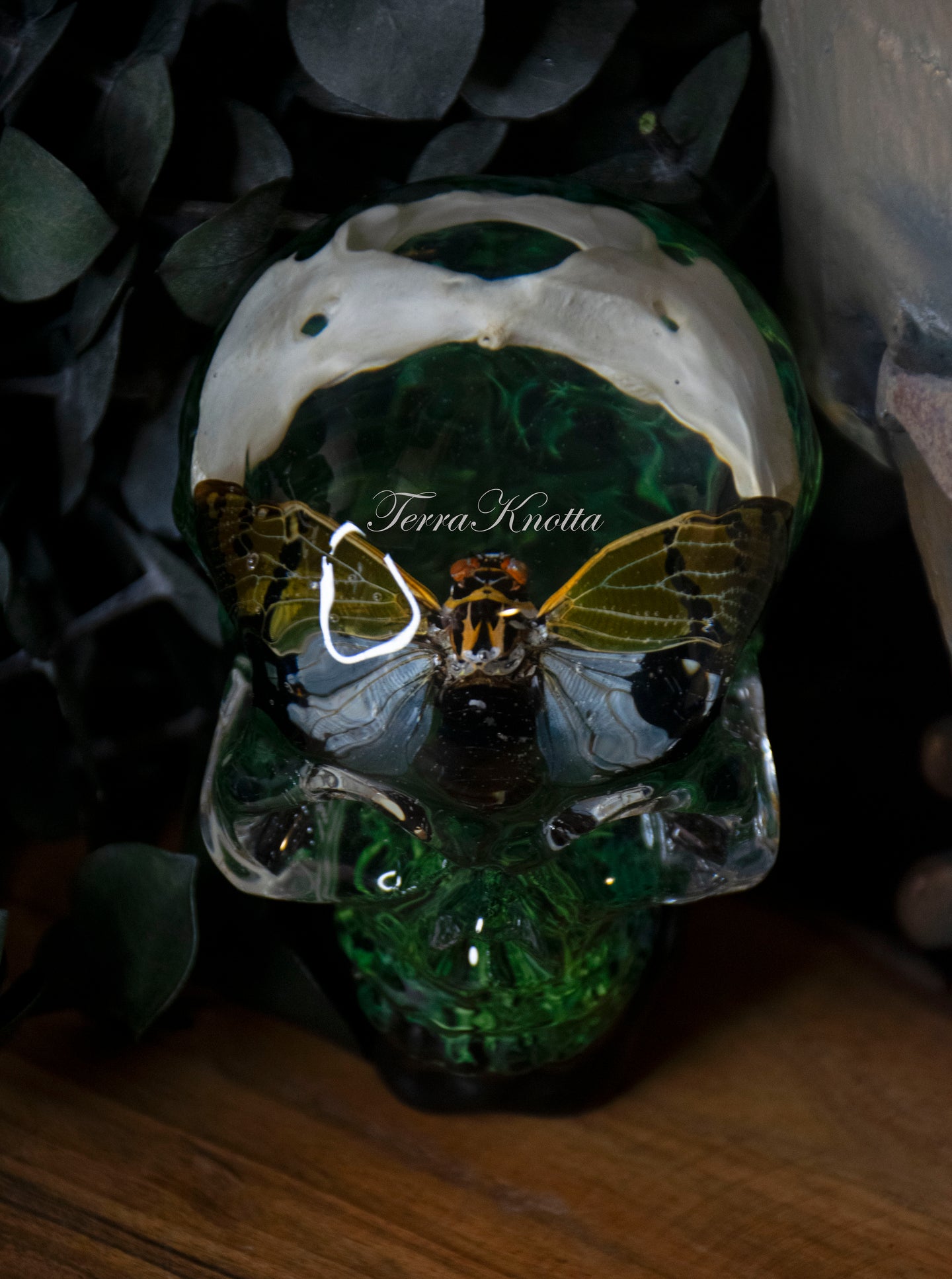 Cicada Vertebrae Moss Skull
