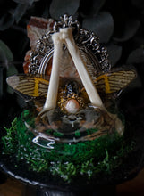 Load image into Gallery viewer, Cicada Bone Plague Doctor Sculpture
