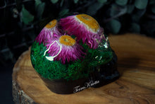 Load image into Gallery viewer, Pink Strawflower Moss Skull
