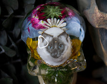 Load image into Gallery viewer, Gray Cat Cameo Skull
