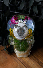 Load image into Gallery viewer, Gray Cat Cameo Skull
