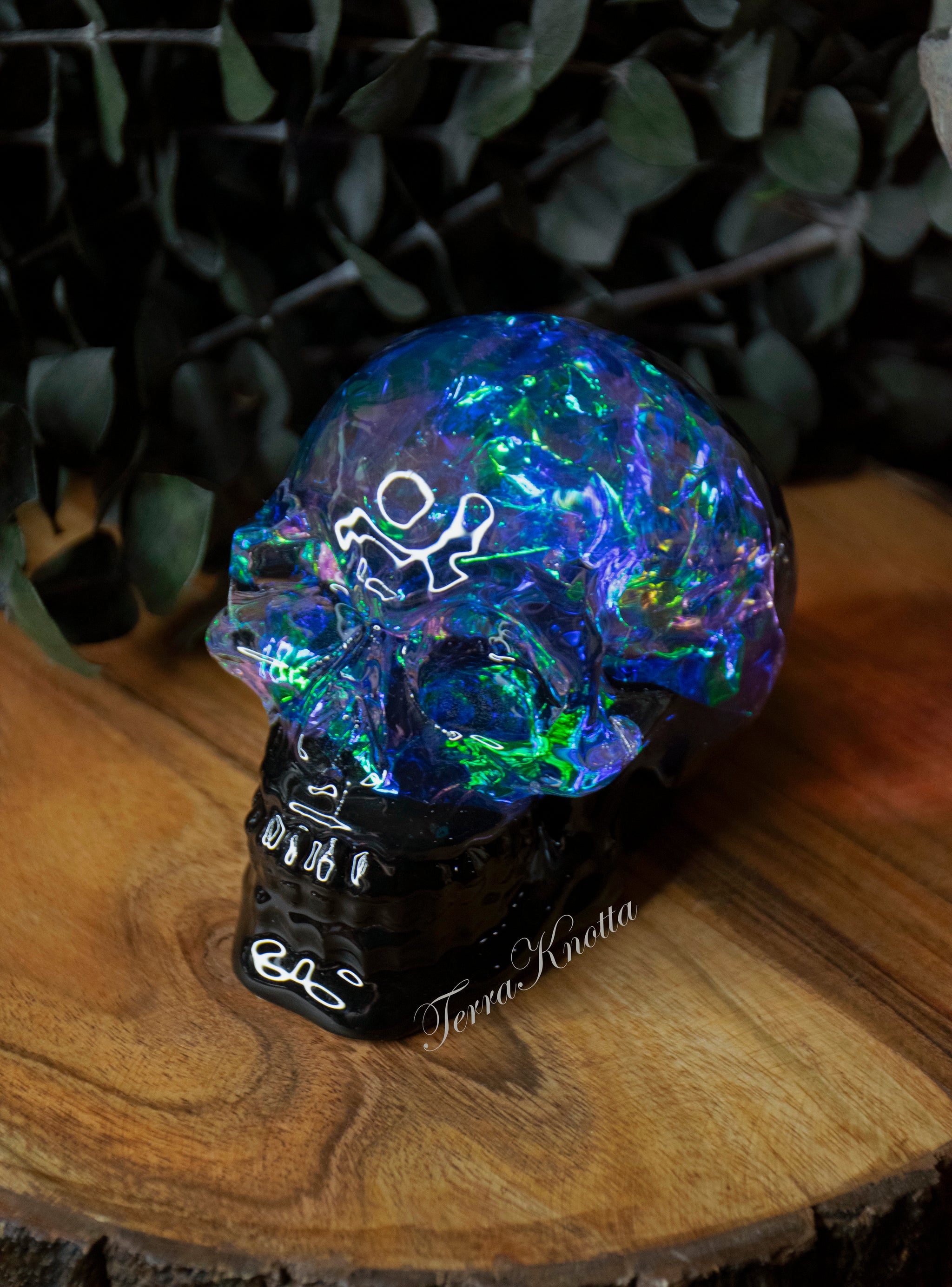 【keizo】SKULLS & FLOWER DECK (BLACK) Opalized Skull Black Base – TerraKnotta