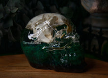 Load image into Gallery viewer, Muskrat Moss Nature Skull
