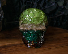 Load image into Gallery viewer, Single Succulent Terrarium Skull
