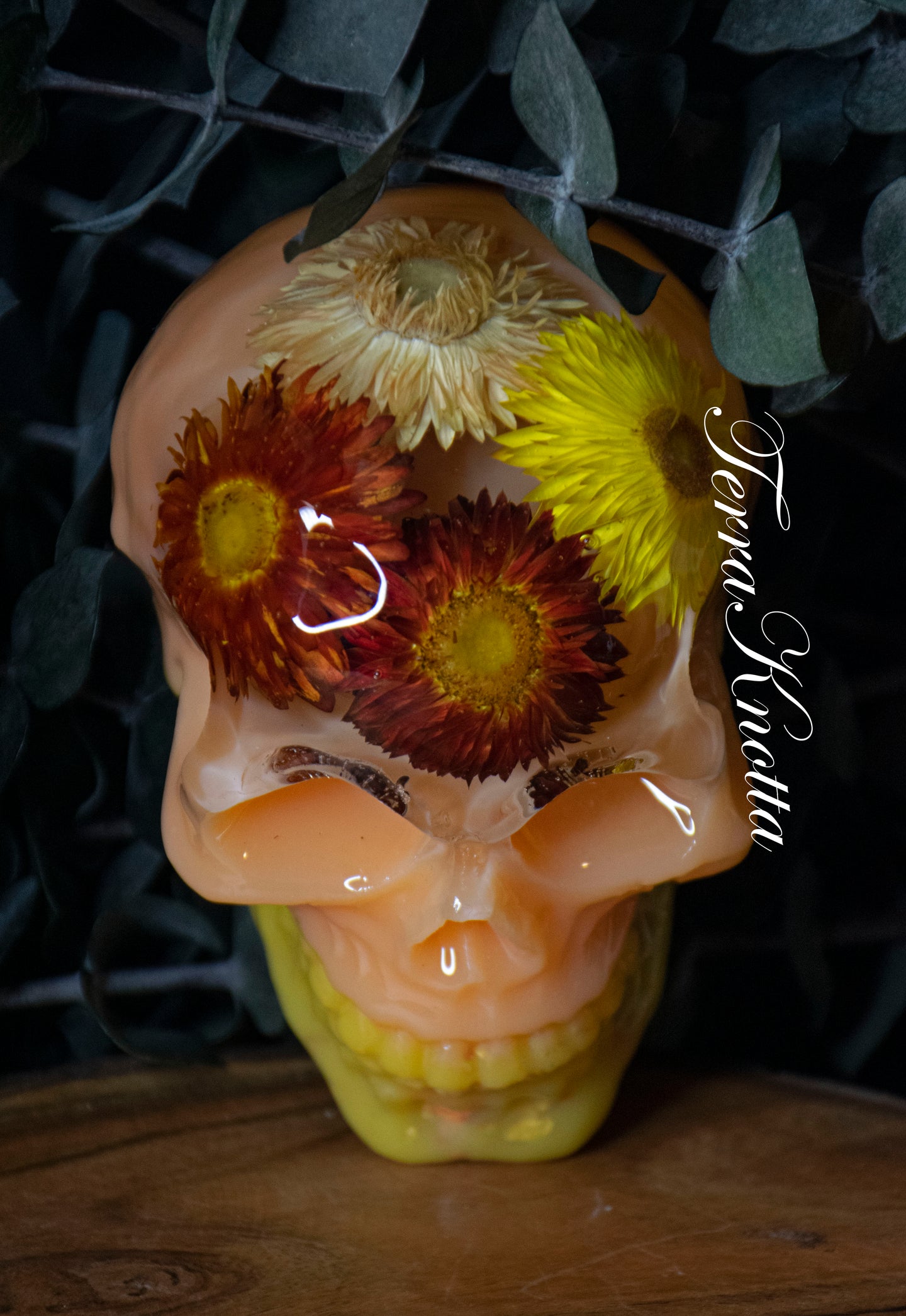 Strawflower Red Peach Yellow Skull