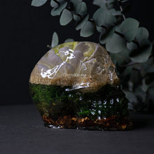 Load image into Gallery viewer, Lavender Succulent Terrarium Skull
