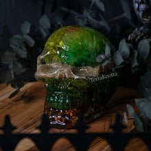 Load image into Gallery viewer, Succulent Terrarium Skull 1
