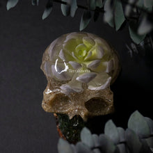 Load image into Gallery viewer, Lavender Succulent Terrarium Skull
