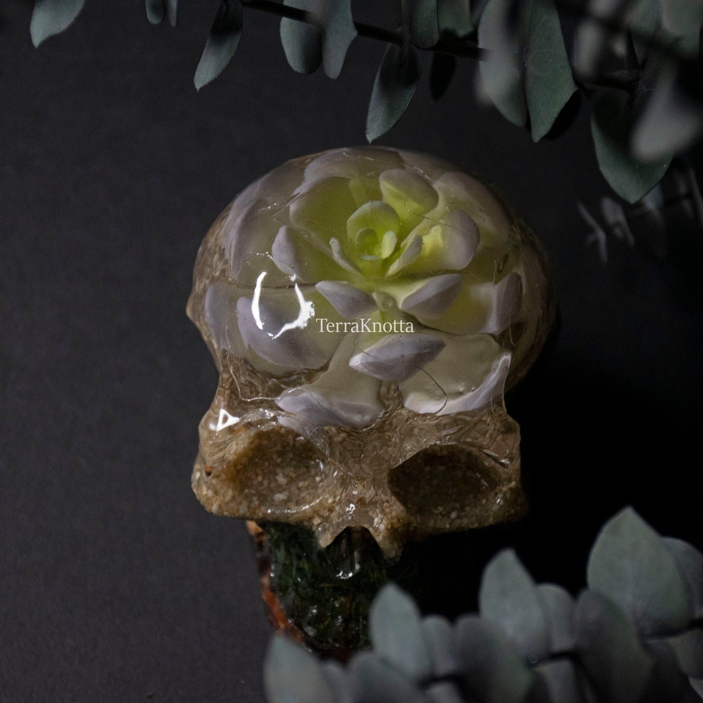 Lavender Succulent Terrarium Skull